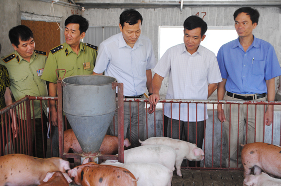  Đoàn kiểm tra liên ngành của tỉnh kiểm tra trang trại chăn nuôi lợn của gia đình ông Bùi Đức Dũng, tiểu khu Cây Châm, thị trấn Đu (Phú Lương).