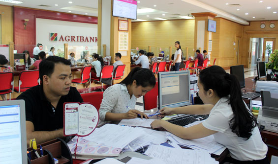  Khách hàng giao dịch tại Ngân hàng Nông nghiệp - PTNT (Agribank) Chi nhánh Thái Nguyên.