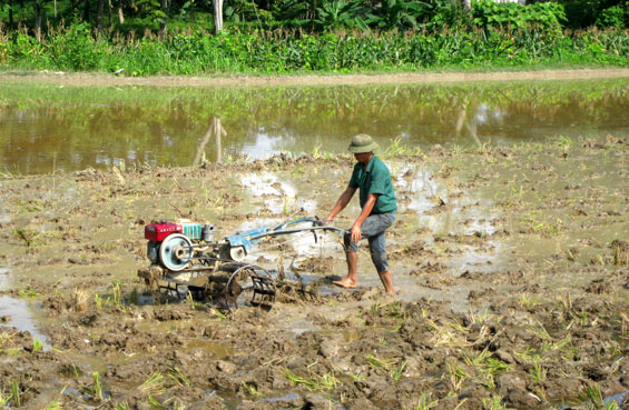    Nông dân xóm Vân Lăng, xã Văn Lăng (Đồng Hỷ) đang làm đất phục vụ sản xuất vụ xuân.