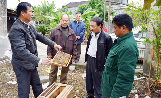  Các thành viên Hội đồng quản trị HTX Nuôi ong Phúc Thuận (Phổ Yên) trao đổi kinh nghiệm nuôi ong với lãnh đạo Liên minh HTX tỉnh.  