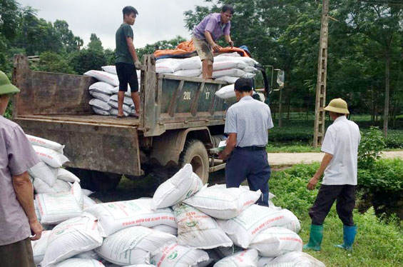  Phòng Nông nghiệp và PTNT huyện Phú Lương cấp phân bón cho người dân của Làng nghề chè xóm Tân Thái, xã Tức Tranh (Phú Lương).
