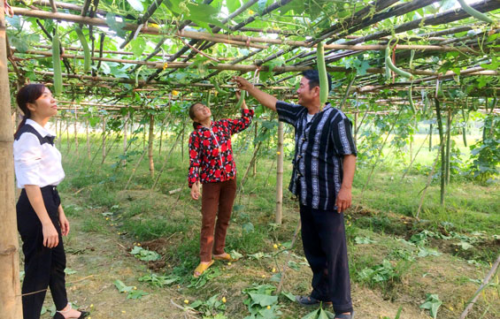  Chị Hứa Thị Biên, hội viên phụ nữ xóm Ao Sen, xã Động Đạt (Phú Lương) đăng ký tham gia Phong trào “Sản xuất nông sản an toàn” do Hội LHPN huyện phát động.