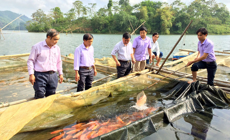 Mô hình nuôi cá lồng trên lòng hồ Bảo Linh, xã Bảo Linh (Định Hóa) mang lại hiệu quả kinh tế cao. 