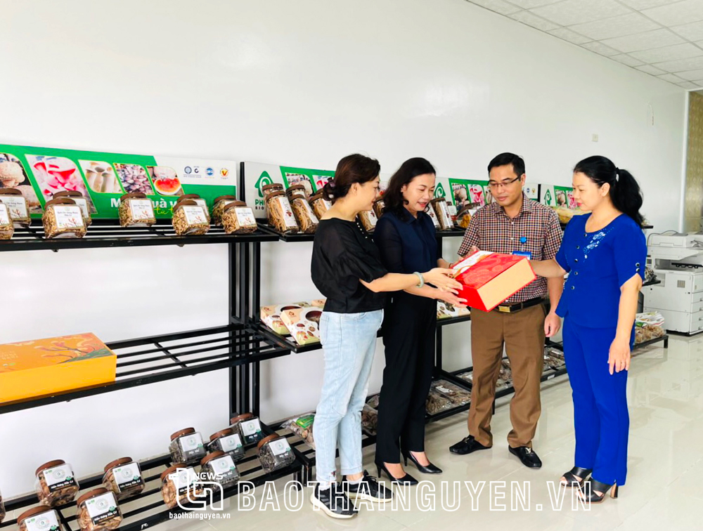  Cán bộ Sở KH&CN hướng dẫn doanh nghiệp tiềm năng phát triển thành doanh nghiệp KH&CN.