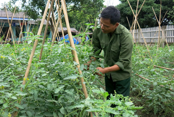   Anh Nguyễn Tiến Sỹ là điển hình trong phát triển kinh tế gia đình ở địa phương.