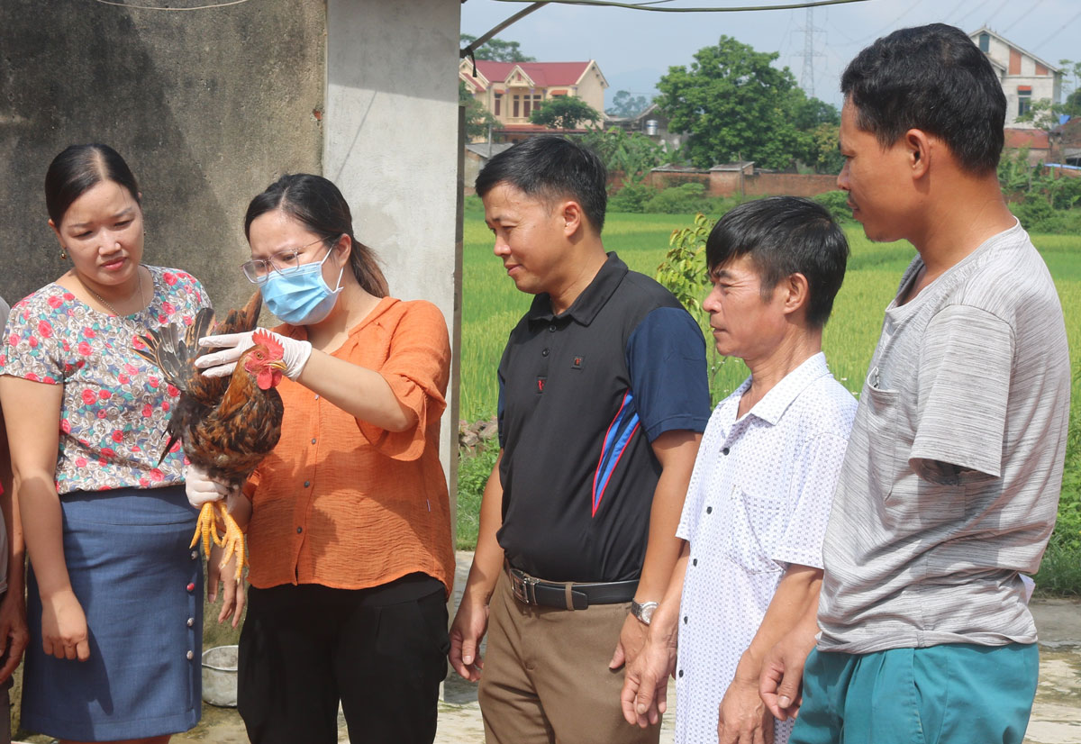  Ông Lê Công Lai ở xóm Bến Chảy, xã Vạn Phái, TX Phổ Yên (ngoài cùng bên phải), bị cắt cánh tay trái do điện cao thế phóng khi tham gia xây dựng một công trình dưới đường điện.