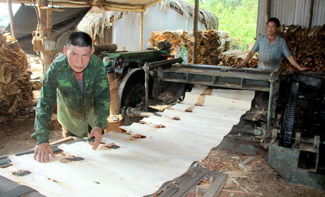   Sản xuất ván ép tại cơ sở chế biến lâm sản của gia đình ông Nguyễn Thế Hùng, thôn An Thịnh 1, xã Đồng Thịnh (Định Hóa).