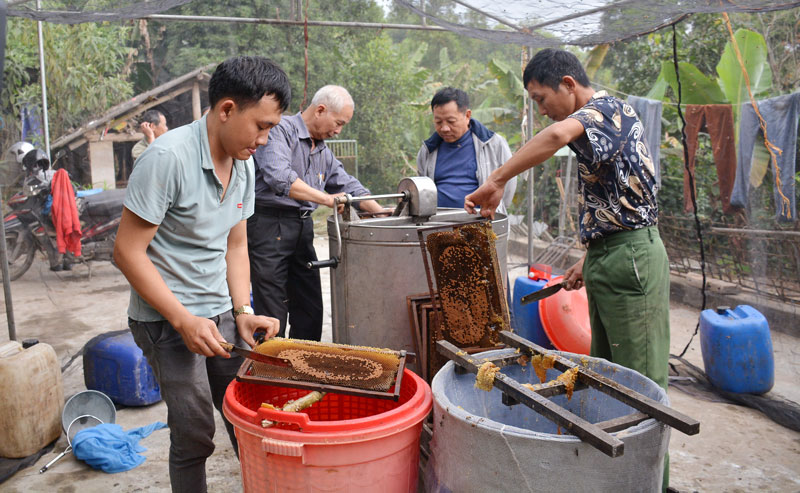  Việc đảm bảo an ninh trật tự trên địa bàn đã góp phần để người dân yên tâm phát triển kinh tế. Trong ảnh: Mô hình nuôi ong lấy mật đạt hiệu quả kinh tế cao của người dân xã An Khánh (ảnh H.T).