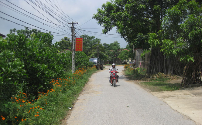  Trước Tết Nguyên đán, các địa phương chủ động dọn dẹp về sinh môi trường đường làng, ngõ xóm phong quang, sạch đẹp, góp phần bảo đảm trật tự an toàn giao thông. 