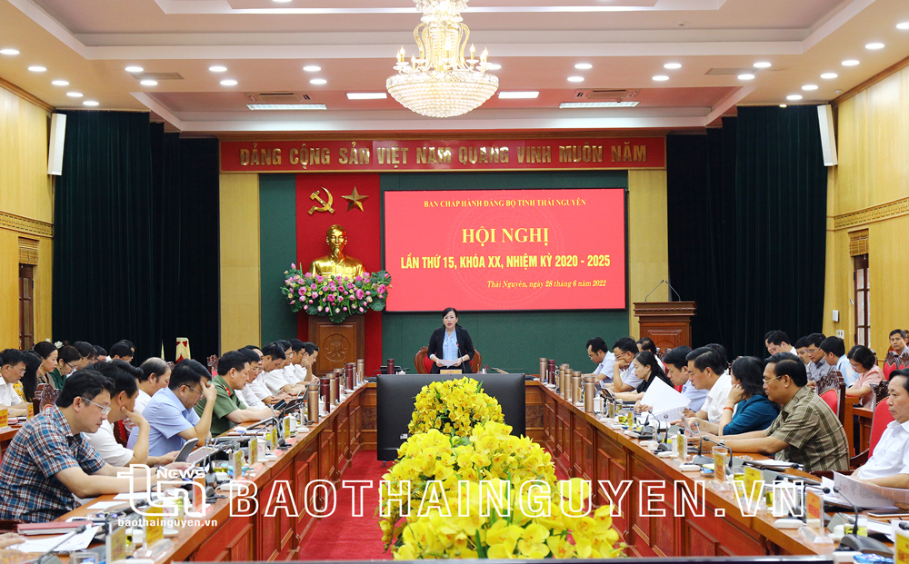  Quang cảnh Hội nghị. Ảnh: Mạnh Hùng