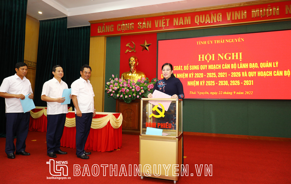  Các đồng chí trong Ban Thường vụ Tỉnh ủy tiến hành bỏ phiếu bổ sung quy hoạch cán bộ lãnh đạo, quản lý của tỉnh.