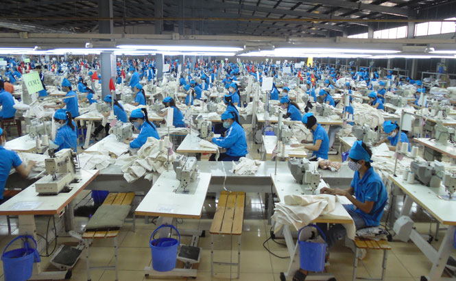  Công nhân làm việc tại Công ty CP Đầu tư và Thương mại TNG.
