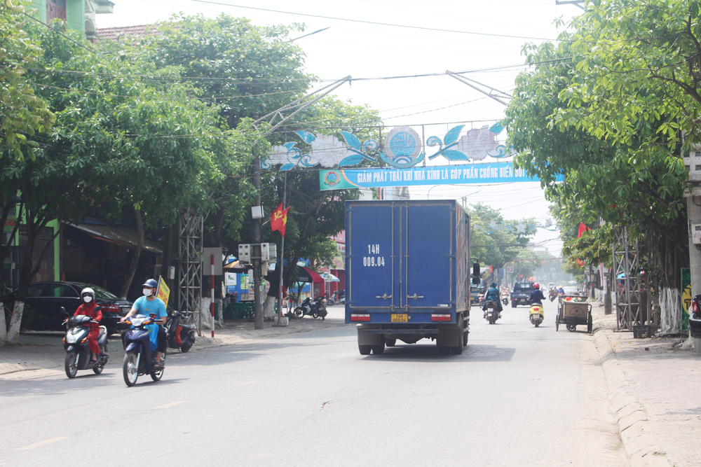  uyến đường cách mạng tháng Tám TP. Sông Công có kế hoạch cải tạo, thay thế các cây xanh già cỗi, sâu bệnh.