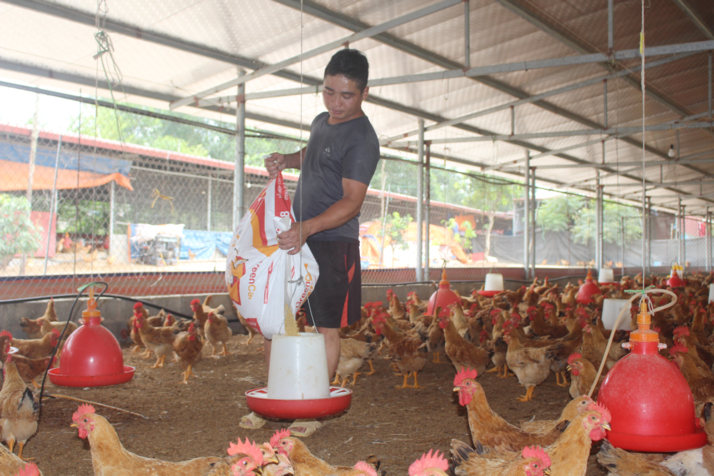 Chăn nuôi theo mô hình trang trại, gia trại là định hướng được TP. Sông Công khuyến khích phát triển, nhằm nâng cao hiệu quả kinh tế, hạn chế dịch bệnh và ô nhiễm môi trường.