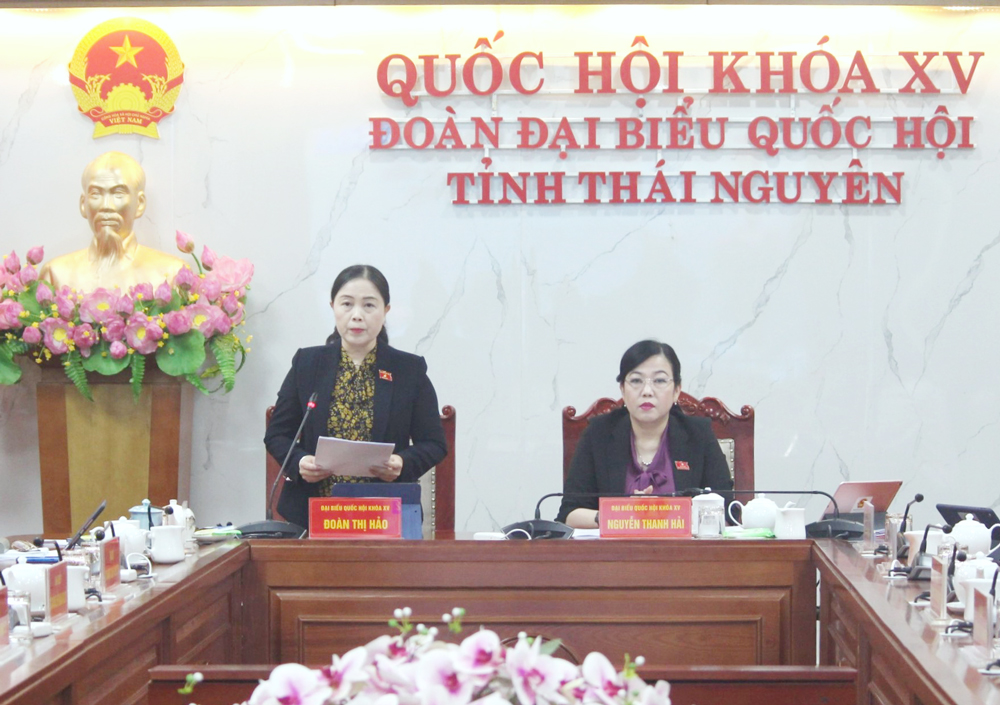  Đại biểu Đoàn Thị Hảo chất vấn Bộ trưởng Bộ Văn hóa, Thể thao và Du lịch.