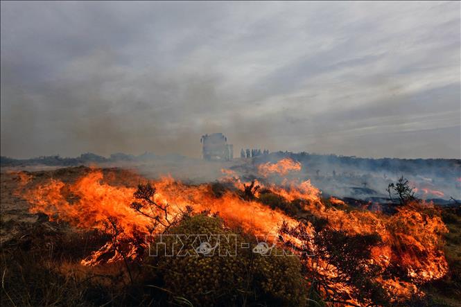  Khói lửa bốc lên từ đám cháy rừng tại Valdes, tỉnh Chubut, Argentina, ngày 4/1/2022. Ảnh: AFP/TTXVN