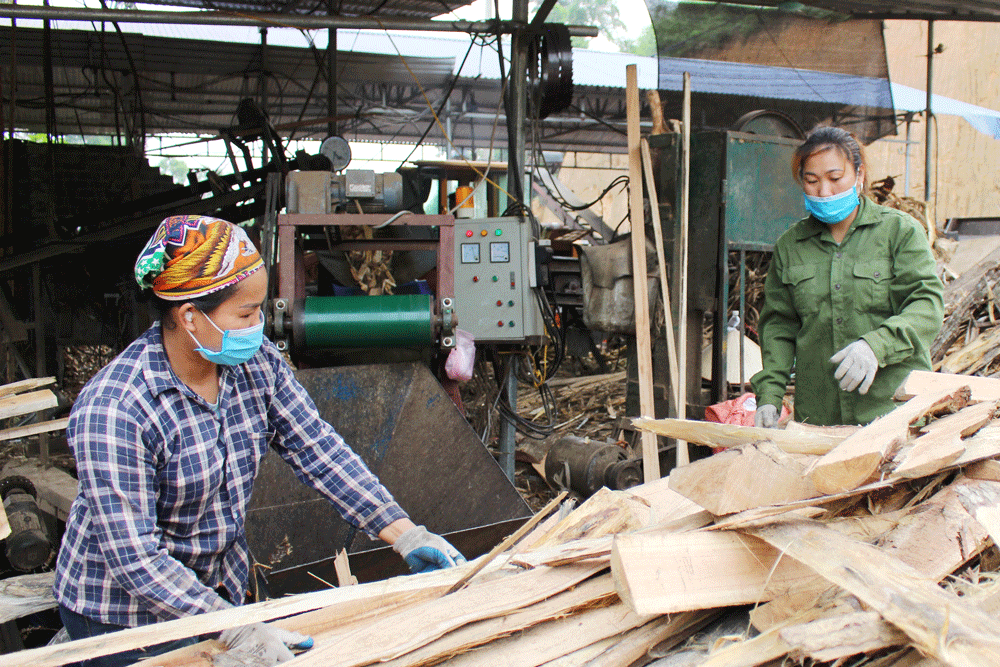  Các cơ sở chế biến lâm sản trên địa bàn huyện Phú Lương chủ yếu tự phát, quy mô nhỏ lẻ.