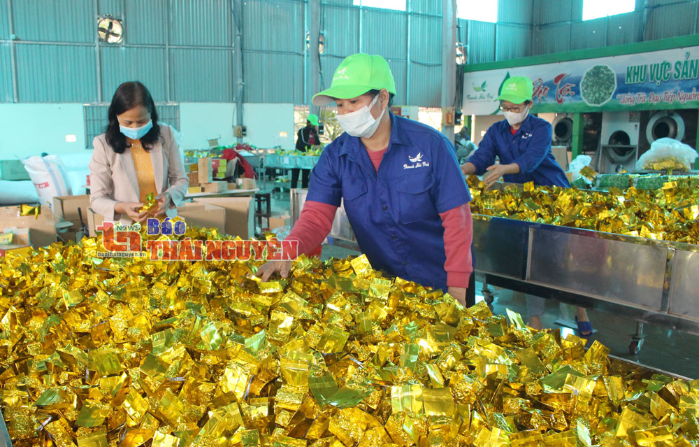  Để đáp ứng nhu cầu thị trường, các sản phẩm chè Tết trên địa bàn huyện Đại Từ rất đa dạng về mẫu mã, với nhiều mức giá khác nhau. Trong ảnh: Đóng gói sản phẩm chè Tết tại HTX Chè La Bằng (Đại Từ)