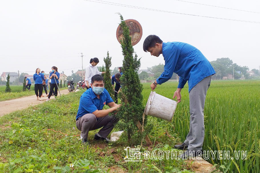  Đoàn viên thanh niên xã Lương Phú chăm sóc tuyến đường cây xanh kiểu mẫu.