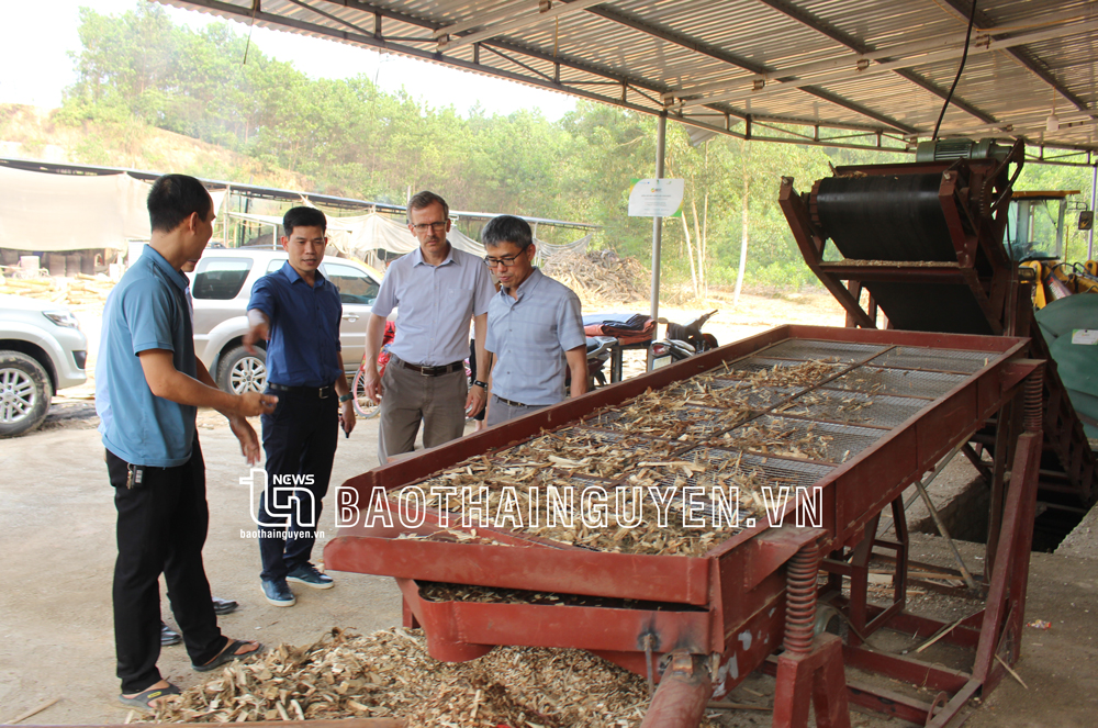 Những phụ phẩm nông nghiệp như vỏ cây, vỏ lá, mùn cưa... được tận dụng làm nguyên liệu tạo ra năng lượng sạch nhờ công nghệ khí hóa sinh khối.