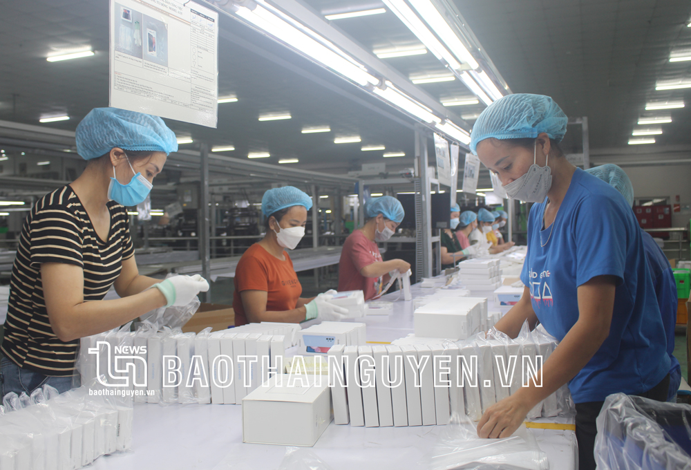 Hoạt động sản xuất tại Công ty TNHH Doosun Việt Nam, thuộc Cụm công nghiệp Nguyên Gon (TP. Sông Công). Ảnh: T.L
