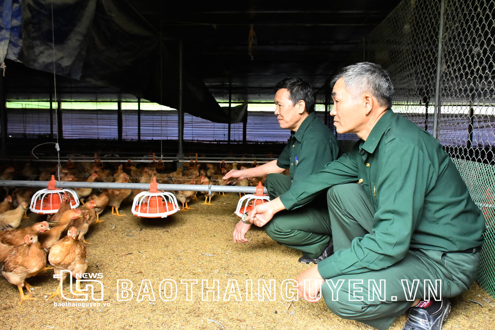  Với mô hình trồng cây ăn quả kết hợp trồng rừng, chăn nuôi gà, CCB Nguyễn Hải Thanh (ngồi bên ngoài) là gương điển hình trong phát triển kinh tế ở xã La Hiên.