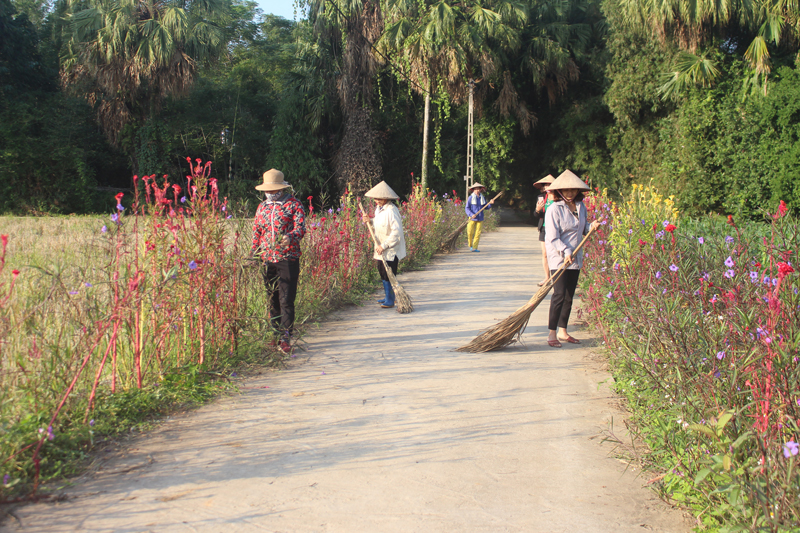  Hội viên phụ nữ xóm Làng Chảo, xã Động Đạt (Phú Lương) tham gia dọn dẹp vệ sinh tuyến đường hoa.