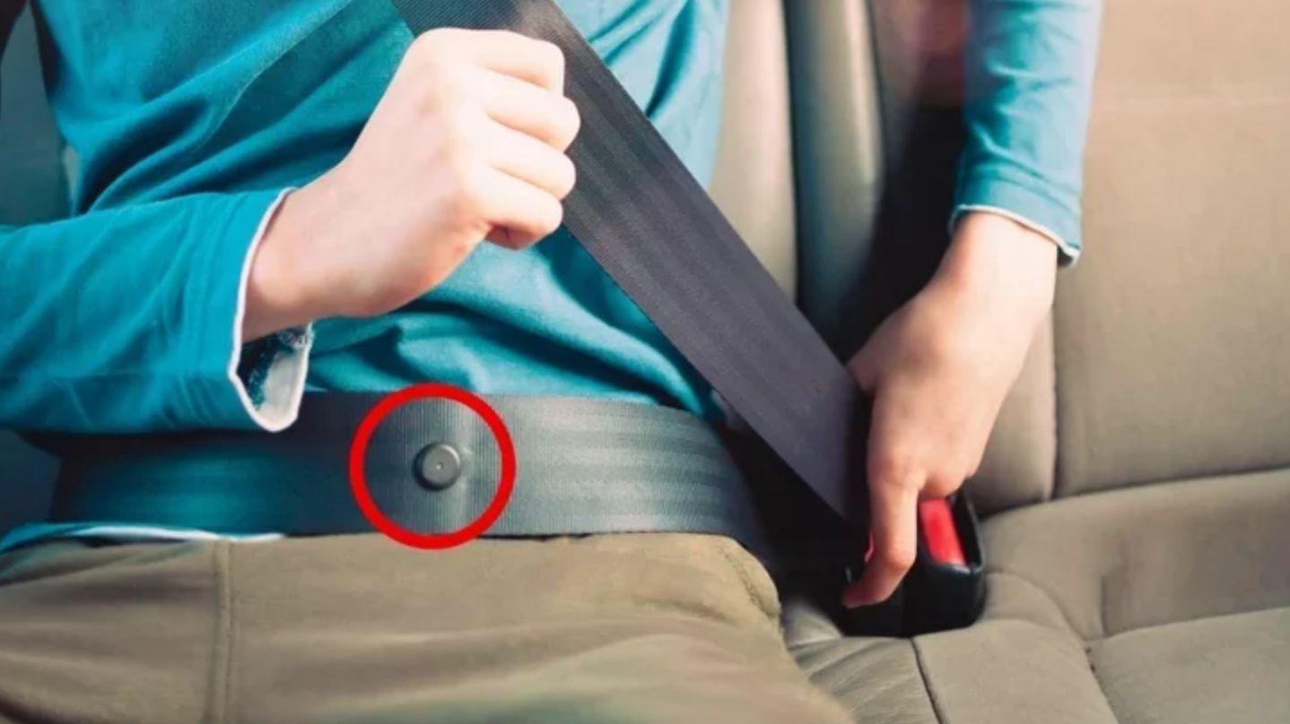 Trên dây đai an toàn của ô tô ngày nay thường đính một nút nhựa nhỏ bằng ngón tay có dạng hình tròn