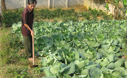  Ông Trần Quang Tánh, trưởng xóm Giá 1 và những công việc thường nhật.