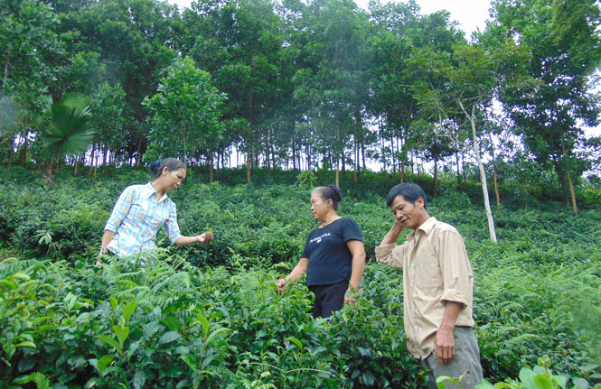   Luôn sát cánh và chia sẻ cùng nhân dân là phương châm làm việc của bà Vũ Thị Ninh.Ninh.