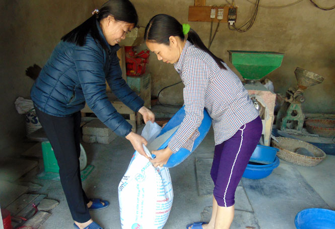  Chị Bằng Thị Sáu, Tổ Trưởng Tổ liên kết phụ nữ sản xuất và kết nối tiêu thụ gạo Thiên ưu 8, thu mua gạo của các thành viên.