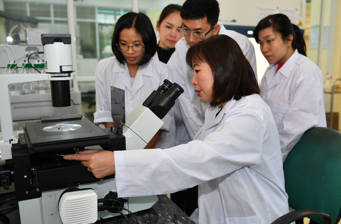  PGS.TS Trần Thị Thu Hà và các cộng sự tại phòng thí nghiệm.