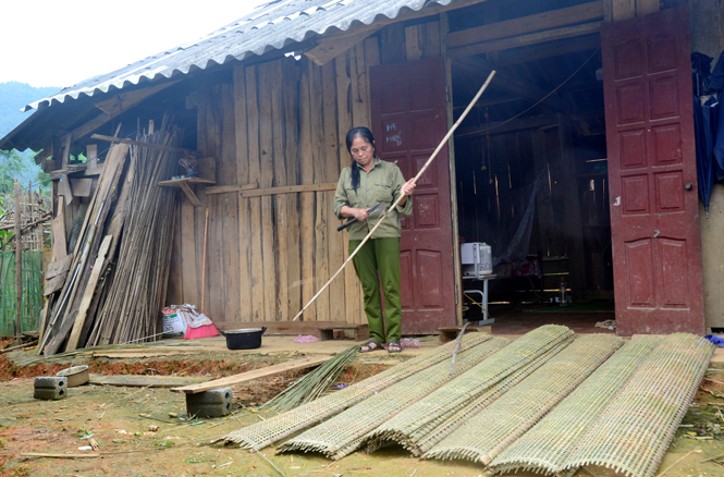   Ngoài làm ruộng và chè, gia đình bà Nguyễn Thị Gái, ở xóm Nà Mùi, xã Phú Đình (Định Hóa) thường lên rừng lấy nứa về chẻ và đan thành phên bán để có thêm thu nhập.