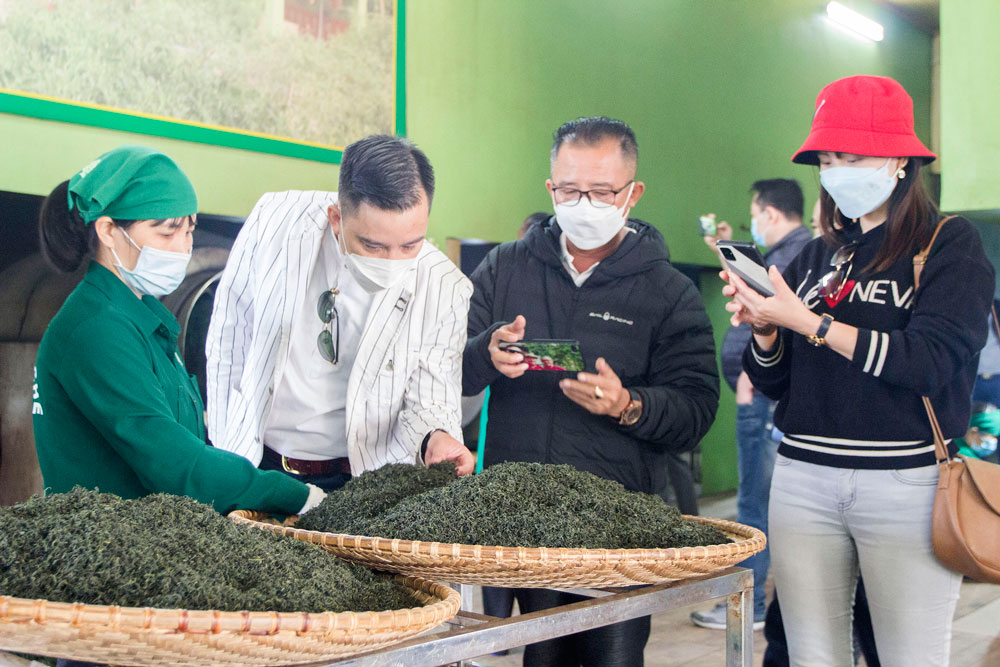  Các thành viên tham gia trải nghiệm quy trình chế biến chè đặc sản Tân Cương