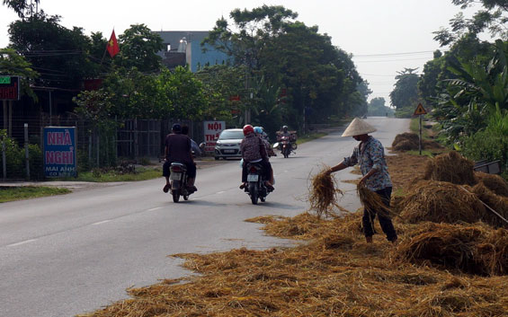  Nông dân xã Thượng Đình (Phú Bình) lấn chiếm Quốc lộ 37 để phơi rơm.