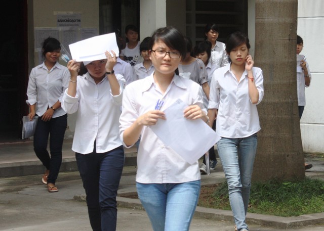 Anhr minh họa.