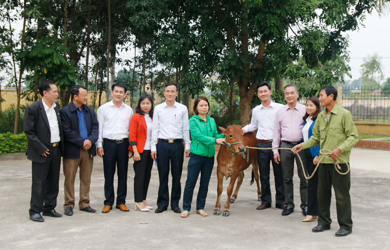  Hội Liên hiệp phụ nữ T.P Sông Công phối hợp với UBND phường Thắng Lợi trao bò giống cho gia đình chị Hoàng Thị Tuyết, tổ dân phố Kè.