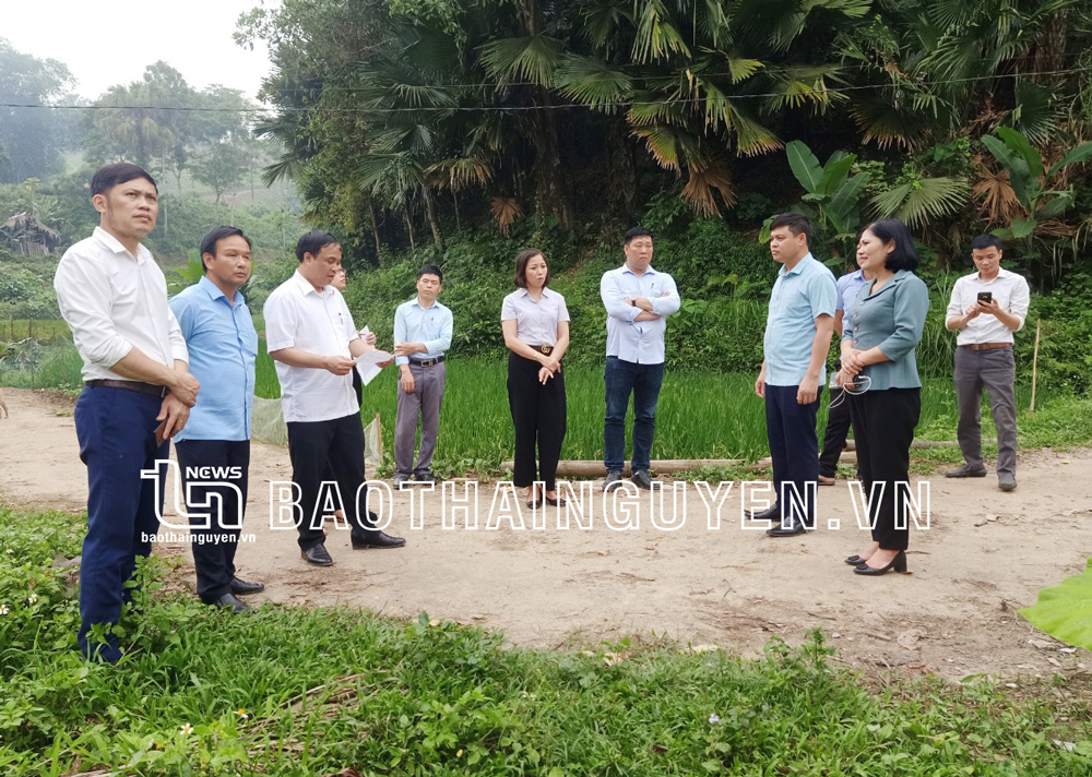  HĐND tỉnh Thái Nguyên giám sát thực tế tại các công trình cấp nước sinh hoạt nông thôn trên địa bàn. Ảnh: T.L
