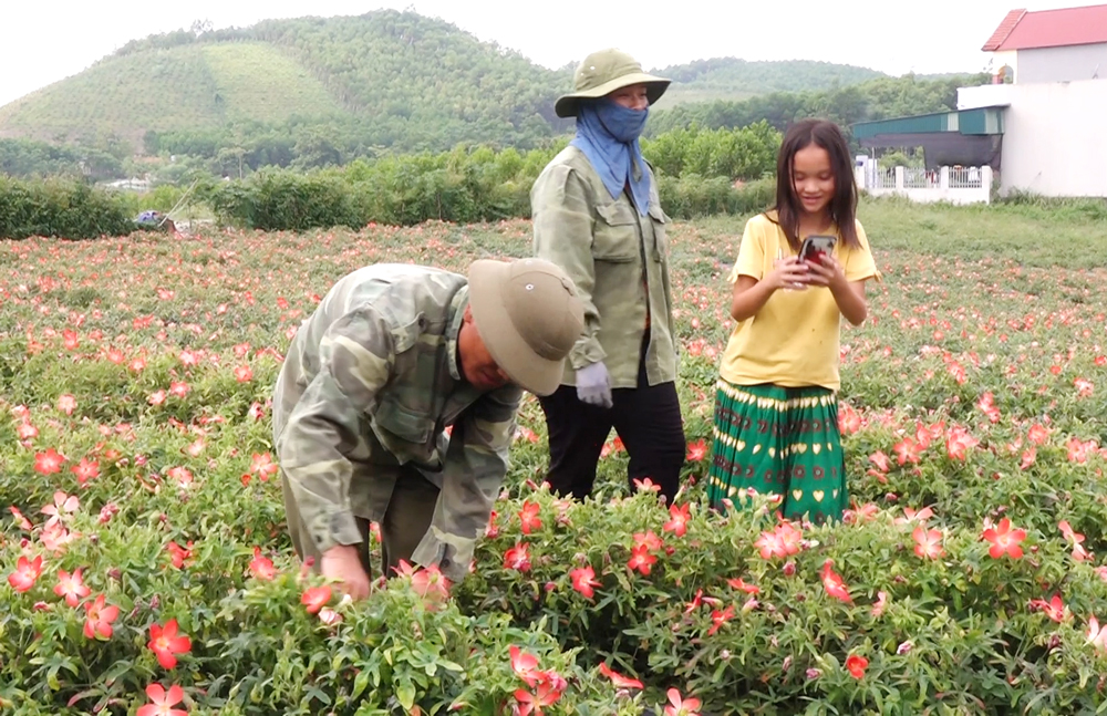  Người Mông ở xóm Đồng Tâm, xã Động Đạt (Phú Lương) yên tâm lao động sản xuất trên diện tích đất đã được giao.