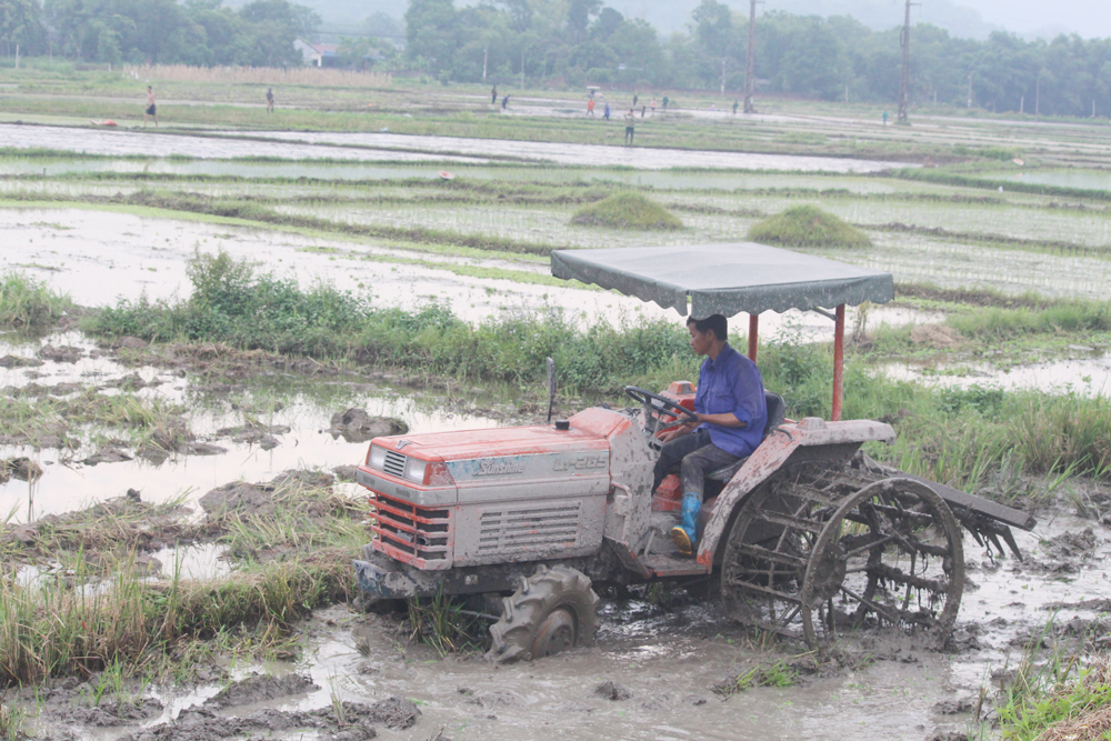 Người dân xã An Khánh làm đất để gieo cấy lúa mùa.