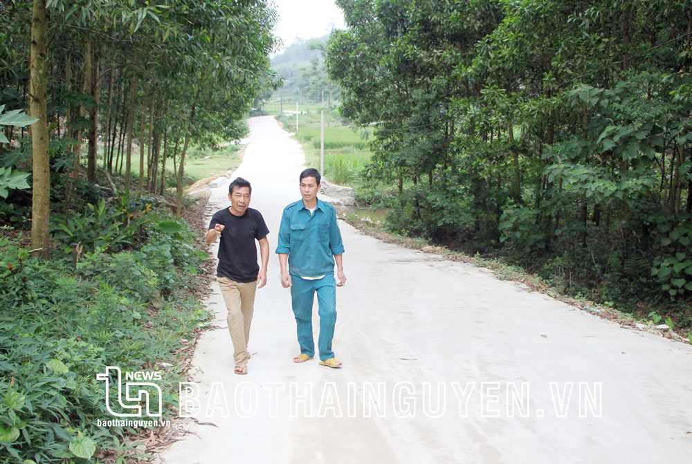  Nhờ có đường giao thông thuận lợi, gỗ keo của bà con xóm Kim Long 2, xã Bình Sơn (TP. Sông Công) bán được với giá cao hơn trước đây khoảng 10 triệu đồng/ha.