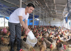 Anh Hiệp chăm soacute;c đagrave;n gagrave; của gia đigrave;nh