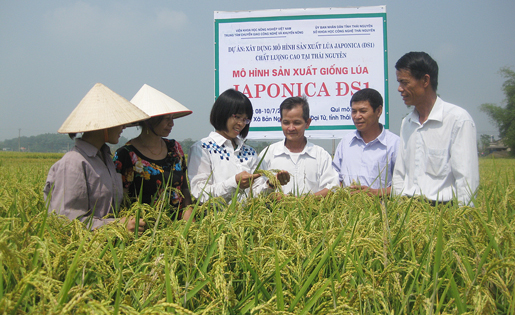  Chị Vũ Thị Khuyên, cán bộ Trung tâm chuyển giao công nghệ và Khuyến nông, Viện Khoa học Nông nghiệp Việt nam (thứ 3 từ trái sang) trao đổi với nông dân xóm Ninh Giang, xã Bản Ngoại (Đại Từ) về kỹ thuật sản xuất giống lúa Japonica ĐS1 và ĐS3.