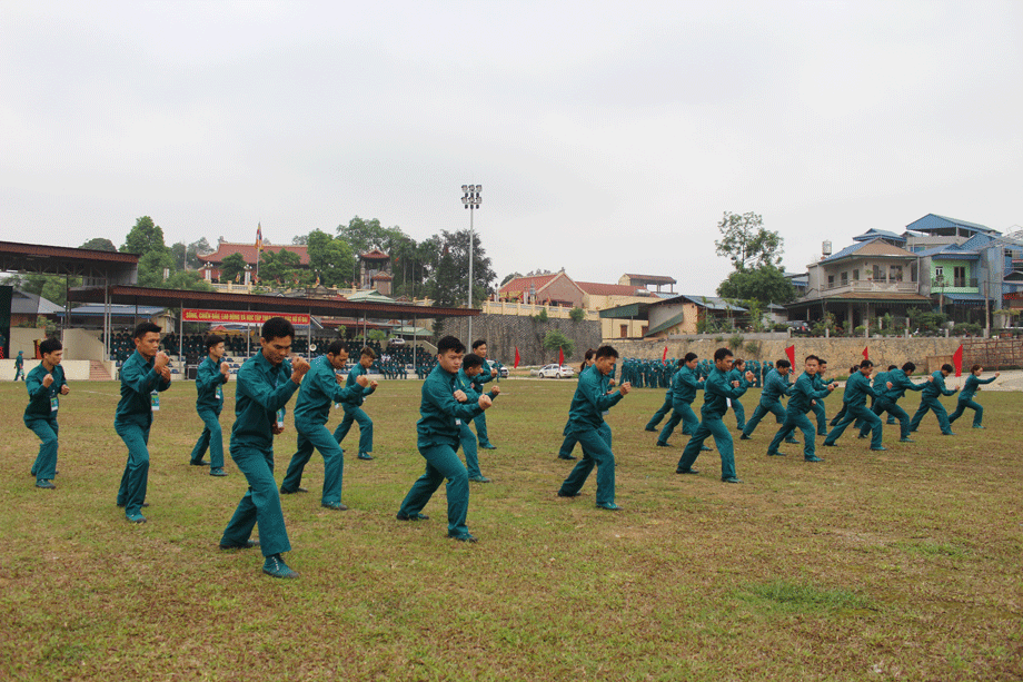  Đội thi xã Phủ Lý tham gia thi đồng diễn võ thể dục.