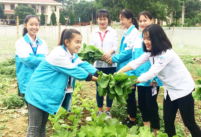  Học sinh Trường Phổ thông dân tộc nội trú THCS Sông Cầu chủ động tăng gia trồng rau an toàn góp phần cải thiện bữa ăn hàng ngày.