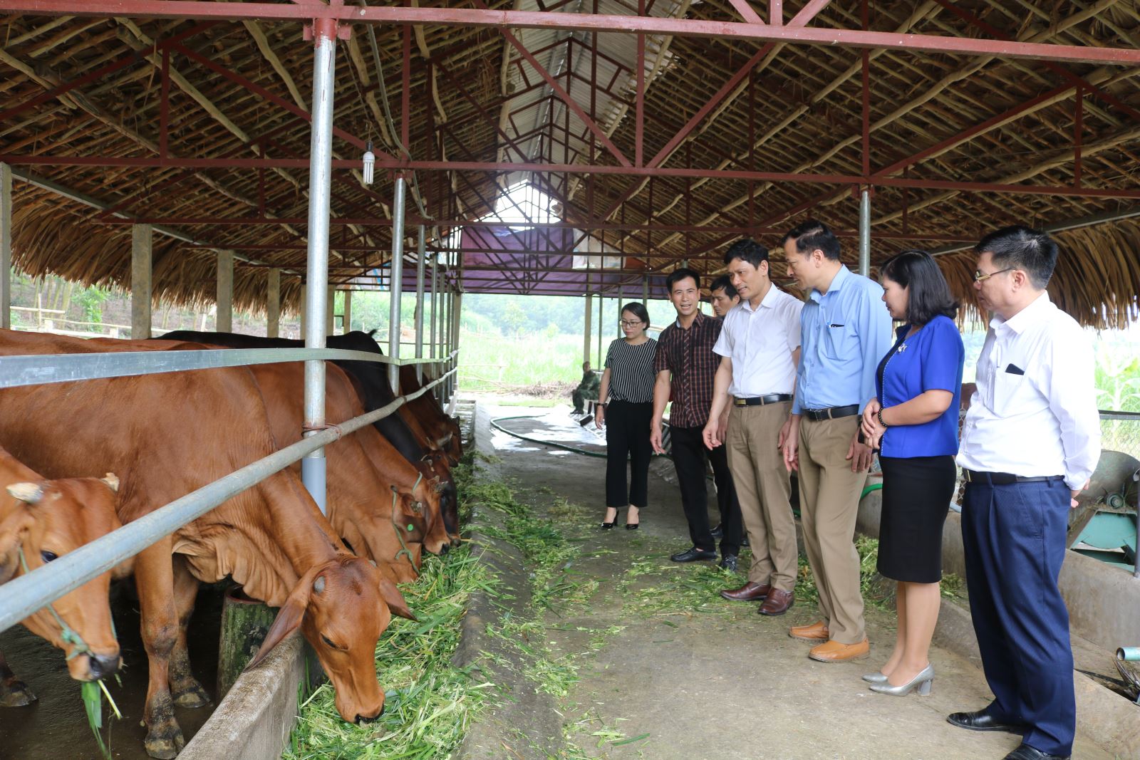  Đoàn kiểm tra liên ngành giám sát quy trình chăn nuôi, kinh đoanh thực phẩm an toàn tại xã Động Đạt (Phú Lương).