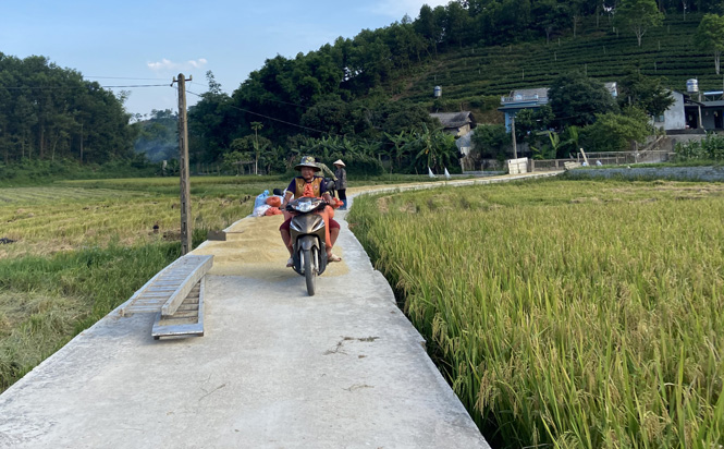  Nông dân xóm 3, xã Phú Xuyên (Đại Từ) phơi thóc ngay trên đường bê tông rất dễ gây nguy hiểm cho người và phương tiện tham gia giao thông.