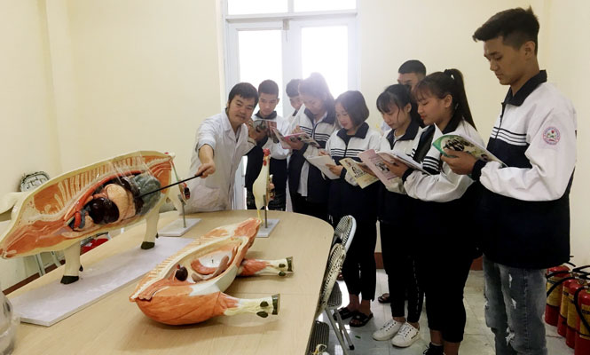  Thầy Tiến trong một giờ dạy trên lớp với các mô hình trực quan.