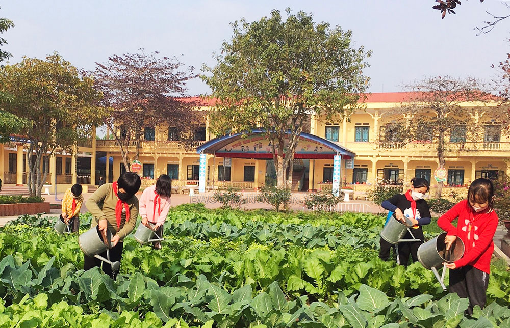  Giờ học trải nghiệm kỹ thuật môn Sinh học của học sinh Trường Tiểu học Đồng Doãn Khuê.