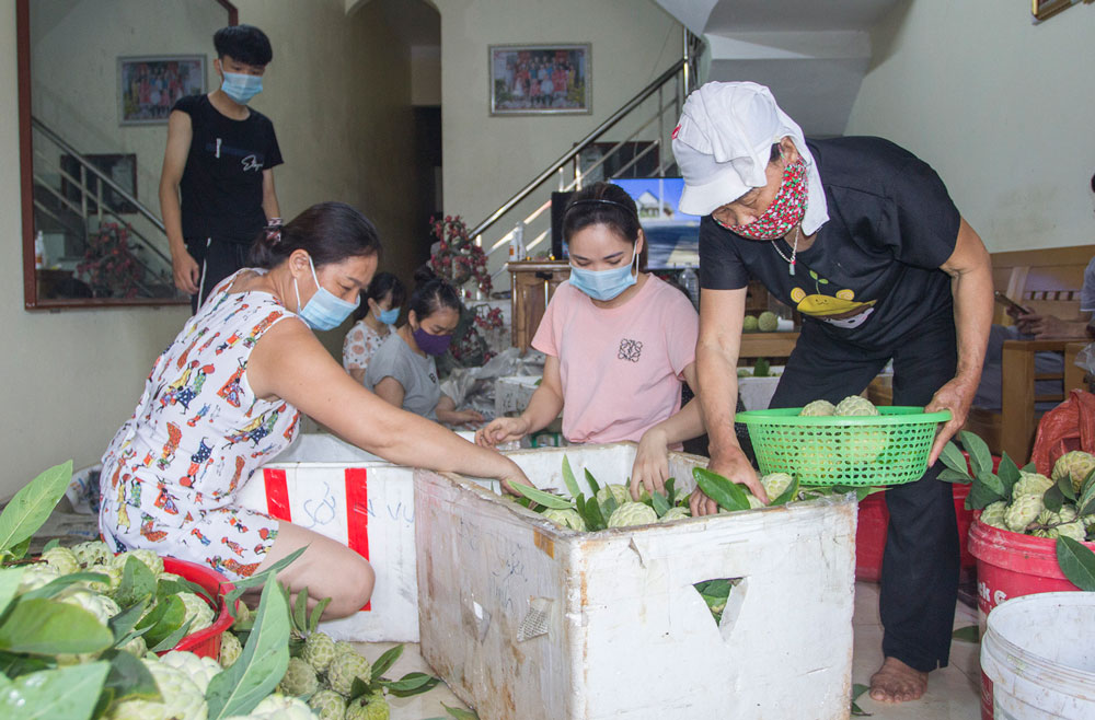  Sản phẩm na La Hiên đã có thương hiệu.